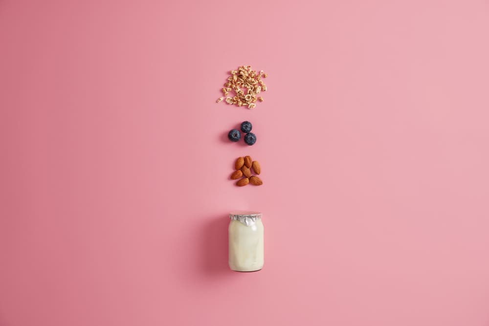 05 laboratorios almond yogurt vegetal