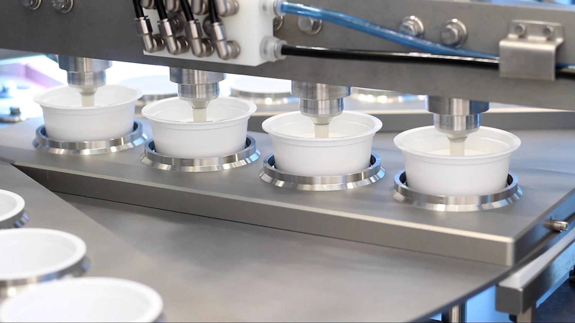 biogurt laboratorio almond